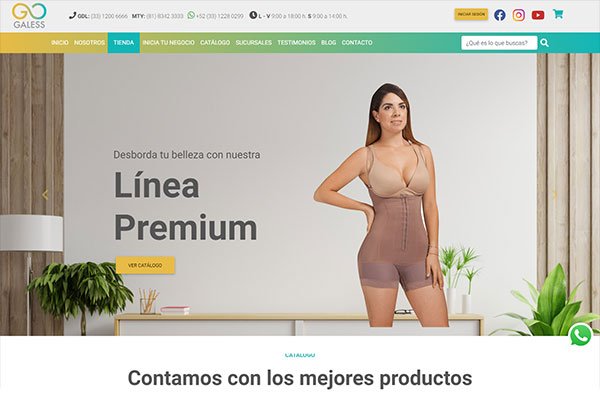 Portafolio - Diseño y Optimización Online