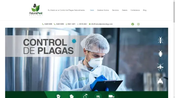 Portafolio - Diseño y Optimización Online