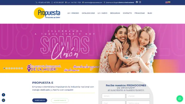 Portafolio - Diseño y Optimización Online