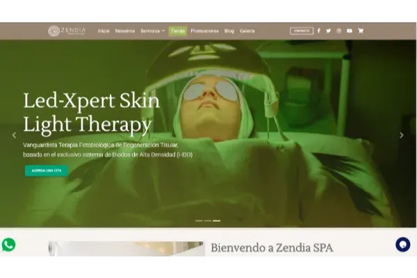 Portafolio - Diseño y Optimización Online