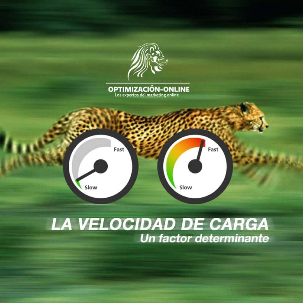 ¿Éxito o fracaso de tu página web? Velocidad de carga: un factor determinante.