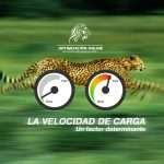 Velocidad de carga